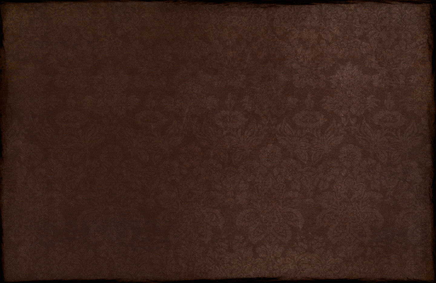 Miko Photography background image